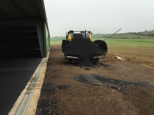 Photo 03-11-15 12 39 55