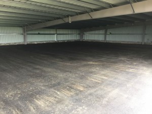 Photo 03-11-15 12 41 06