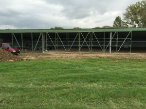 Photo 10-10-15 16 18 33