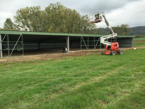 Photo 10-10-15 16 18 35