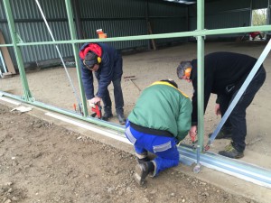 Photo 17-10-15 11 15 24