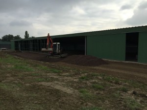 Photo 19-10-15 16 29 43