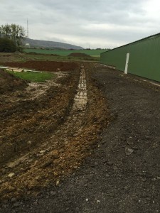 Photo 20-10-15 15 58 38