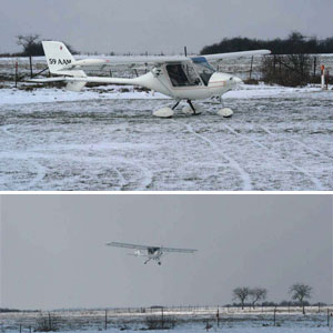 Storch en neige 2005